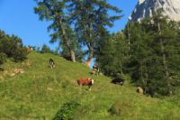 2015-07-01_1Pano-bei-Lacke (351).JPG